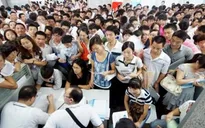 Cử nhân thất nghiệp nhưng… không muốn đi làm