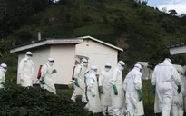 Dịch Ebola tiếp tục diễn biến phức tạp