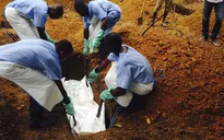 Nigeria ban bố tình trạng khẩn cấp do dịch Ebola