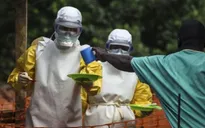 Nigeria: Bệnh nhân nhiễm virus Ebola đầu tiên xuất viện