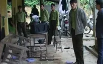 Nhiều lỗ hổng trong pháp luật bảo vệ rừng