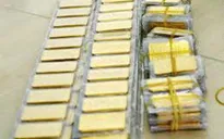 Chuẩn bị đấu thầu vàng miếng