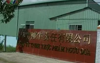 Địa phương không hiểu luật, doanh nghiệp FDI tự ý thuê đất