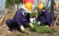 Thủ tướng yêu cầu kiểm tra toàn diện tiền lương tại DNNN