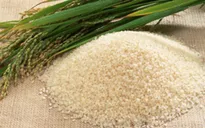 Tín hiệu vui từ gia tăng giá trị hạt gạo Việt Nam