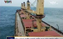 Tàu hàng Panama mắc cạn gây tràn dầu trên biển VN