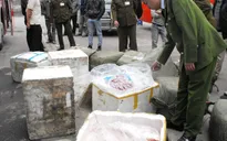 Công an thị xã Hồng lĩnh bắt 1.000 kg nội tạng "bẩn"