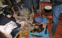 Bắt giữ vụ nấu cao hổ tại Hà Tĩnh