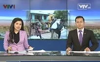 Nghịch lý chuyện xin gạo cứu đói dịp Tết