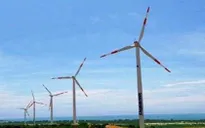 Ninh Thuận sắp “khai tử” dự án điện gió 1.495 tỷ đồng