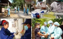Ứng phó khẩn cấp với các chủng virus cúm gia cầm
