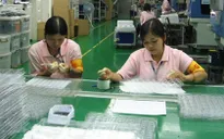 Dừng hoạt động 14 DN XKLĐ sang Đài Loan