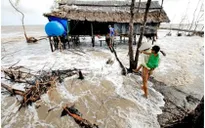 Biến đổi khí hậu ngày càng gây hậu quả khó lường