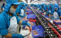Việt Nam không phá giá cá tra, cá basa ở Hoa Kỳ