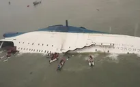 Hải quân Hàn Quốc hơn 10 lần tìm cách vào khoang trong của tàu chìm Sewol