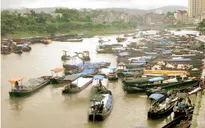 Để hàng lậu vào nội địa, 4 cán bộ biên phòng bị đình chỉ công tác