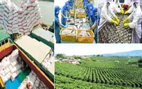 Hội thảo hỗ trợ xuất khẩu sang EU