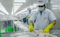 Vốn FDI vào nông nghiệp chưa nhiều: Vì sao?