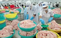 Doanh nghiệp Việt chuyển hướng sang thị trường châu Phi