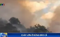 Cháy lớn tại rừng Đèo Cả