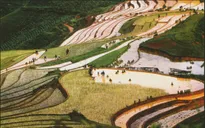 Lào Cai hưởng ứng kích cầu du lịch 2014