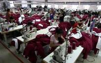 Hỗ trợ doanh nghiệp Việt hợp tác kinh doanh tại Hoa Kỳ
