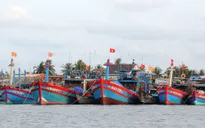 Khẩn trương kêu gọi tàu thuyền vào nơi tránh bão