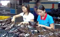 Nhiều thương hiệu giày lớn chuyển đơn hàng về Việt Nam