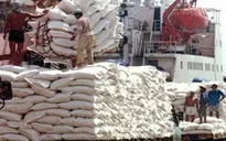 FAO: Việt Nam có thể xuất khẩu đạt 7 triệu tấn gạo