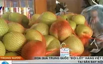Hoa quả Trung Quốc “đội lốt” hàng Việt Nam tại sân bay Nội Bài