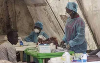 Kinh tế Tây Phi ảnh hưởng nghiêm trọng do dịch Ebola