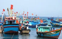 Ưu đãi bảo hiểm tàu cá - Những phản hồi tích cực