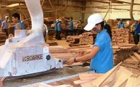Doanh nghiệp nước ngoài chiếm 80% thị trường đồ gỗ nội địa