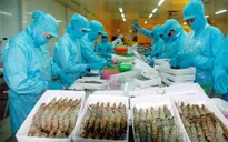 Ngành Thủy sản thắng lớn nhờ tôm