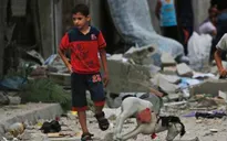 Những ngày yên bình của người dân ở Dải Gaza