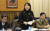 Năm 2013 cần giải quyết triệt để nạn chèo kéo du khách'