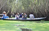Tránh rét, người Hà Nội du xuân phương Nam