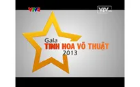 Hỏi & đáp VTV Online: Xem lại Gala Tinh hoa võ thuật