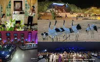 Ấn tượng VTV: Danh sách đề cử chương trình Văn hóa - Khoa học - Xã hội - Giáo dục