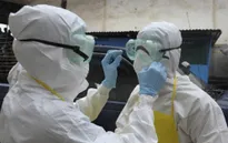 WHO chỉ trích cộng đồng quốc tế chậm trễ đối phó với dịch Ebola
