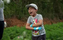 Bố ơi! Mình đi đâu thế?: Hoàng Bách nghiêm khắc dạy con