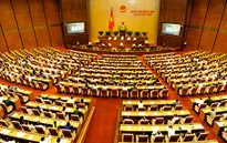 Quốc hội thông qua Luật Nhà ở và Luật Kinh doanh bất động sản
