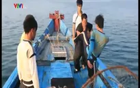 Gala Tinh hoa võ thuật: Khí phách người lính biển (19h30, VTV4)