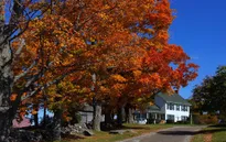 New England đẹp mọi ngõ ngách khi vào thu