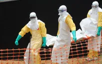 Tổn thất kinh tế do virus Ebola gia tăng