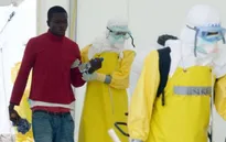 Dịch Ebola đang lây lan theo cấp số nhân