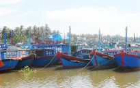 Ngư dân miền Trung khẩn trương tránh trú bão Hagupit