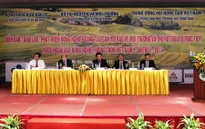 Tăng cường giải pháp phát triển nông nghiệp gắn với bảo vệ môi trường