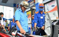 "Giá cước vận tải chưa thể giảm như giá xăng dầu"