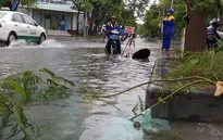 Hải Phòng sau bão số 3: Nước ngập, cây đổ, giao thông gặp khó